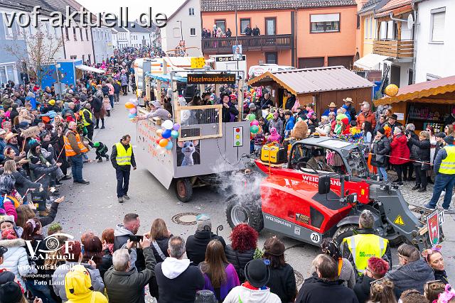 Foto Laudi_Pleintinger_Faschingszug-206180.jpg